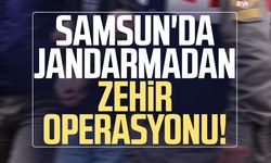 Samsun'da jandarmadan zehir operasyonu! 2 gözaltı