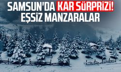 Samsun'da kar sürprizi! Eşsiz manzaralar