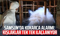 Samsun'da kokarca alarmı: Kışlaklar tek tek ilaçlanıyor