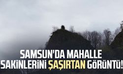 Samsun'da mahalle sakinlerini şaşırtan kaya!