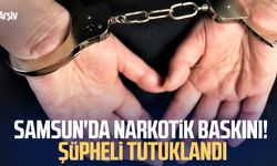 Samsun'da narkotik baskını! Şüpheli tutuklandı