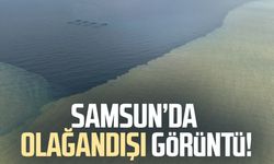 Samsun'da denizin rengi değişti: Olağandışı görüntü