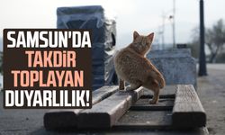 Samsun'da sahilde patililer için takdir toplayan duyarlılık!