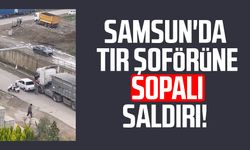 Samsun'da tır şoförüne sopalı saldırı!