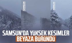 Samsun'da yüksek kesimler beyaza büründü