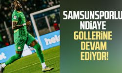 Samsunsporlu Ndiaye gollerine devam ediyor!
