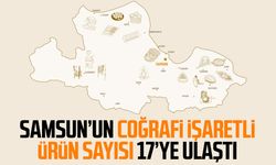 Samsun’un coğrafi işaretli ürün sayısı 17’ye ulaştı