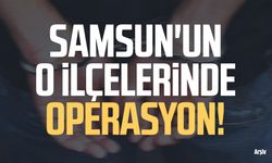 Samsun'un iki ilçesinde operasyon!