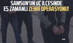 Samsun'un üç ilçesinde eş zamanlı zehir operasyonu!