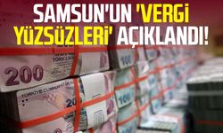 Samsun'un 'vergi yüzsüzleri' açıklandı!