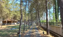 Terme’de Doğal Alanlarda Yürüyüş ve Keşif