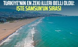 Türkiye'nin en zeki illeri belli oldu: İşte Samsun'un sırası