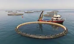 Yakakent İlçesi Tanıtımı: Sahil ve Balıkçılık