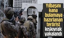 Yılbaşını kana bulamaya hazırlanan terörist kıskıvrak yakalandı