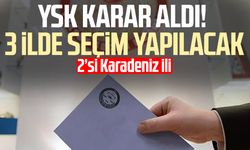 YSK karar aldı! 3 ilde seçim yapılacak