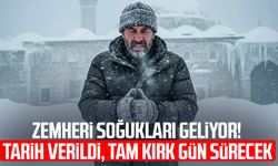 Zemheri soğukları geliyor! Tarih verildi, tam kırk gün sürecek