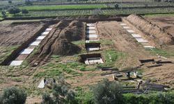 Çarşamba’da Tarımın Sosyal Hayata Yansımaları