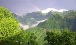 Salıpazarı’nda Geleneksel Yaşamın Günümüze Taşınması