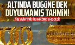 Altında bugüne dek duyulmamış tahmin!