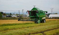 Bafra’da Toprakla Kurulan Güçlü Bağ