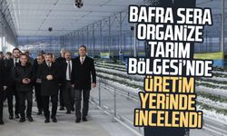 Bafra Sera Organize Tarım Bölgesi’nde üretim yerinde incelendi
