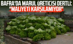 Bafra'da marul üreticisi dertli: "Maliyeti karşılamıyor"
