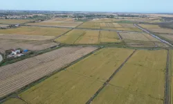 Bafra Ovasında Günlük Yaşamın Şekillenmesi
