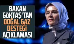Bakan Göktaş'tan doğal gaz desteği açıklaması