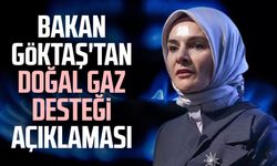 Bakan Mahinur Özdemir Göktaş'tan doğal gaz desteği açıklaması
