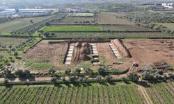 Çarşamba’da Tarımsal Takvimin Günlük Hayatı Yönlendirmesi