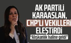 AK Partili Çiğdem Karaaslan, CHP'li vekilleri eleştirdi