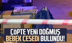 Çöpte yeni doğmuş bebek cesedi bulundu!
