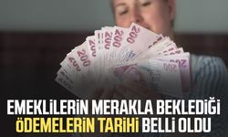Emeklilerin merakla beklediği ödemelerin tarihi belli oldu