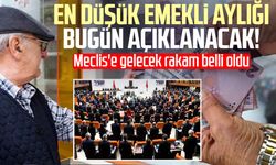 En düşük emekli aylığı bugün açıklanacak!