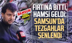 Fırtına bitti, hamsi geldi: Samsun’da tezgahlar şenlendi