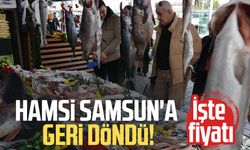 Hamsi Samsun'a geri döndü! İşte fiyatı