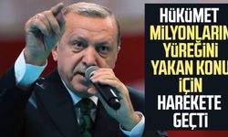 Hükümet milyonların yüreğini yakan konu için harekete geçti