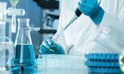 LABORATUVAR HİZMETİ ALINACAKTIR