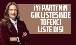 İYİ Parti'nin GİK listesinde İmren Nilay Tüfekci liste dışı