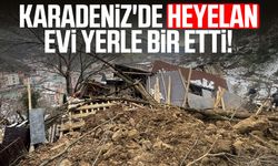 Karadeniz'de heyelan evi yerle bir etti!