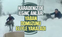 Karadeniz'de ilginç anlar: Yaban domuzunu eliyle yakaladı
