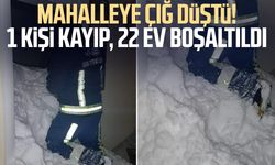Mahalleye çığ düştü! 1 kişi kayıp, 22 ev boşaltıldı