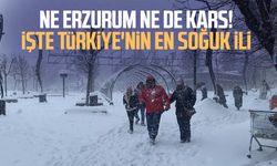 Ne Erzurum ne de Kars! İşte Türkiye'nin en soğuk ili