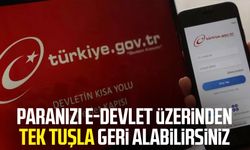 Paranızı e-Devlet üzerinden tek tuşla geri alabilirsiniz