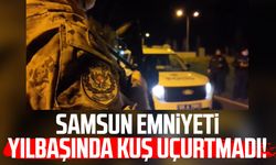 Samsun Emniyeti yılbaşında kuş uçurtmadı!