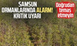 Samsun ormanlarında alarm! Kritik uyarı