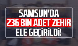 Samsun'da 236 bin adet zehir ele geçirildi!