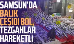 Samsun’da balık çeşidi bol, tezgahlar hareketli
