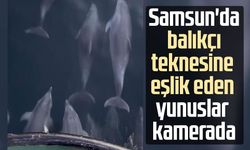 Samsun'da balıkçı teknesine eşlik eden yunuslar kamerada