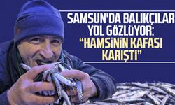 Samsun'da balıkçılar yol gözlüyor: "Hamsinin kafası karıştı"